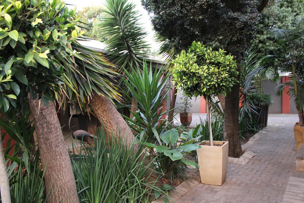 Saffron Guest House Joanesburgo Exterior foto